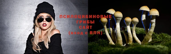 гашик Армянск