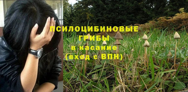 гидропоника Алексеевка